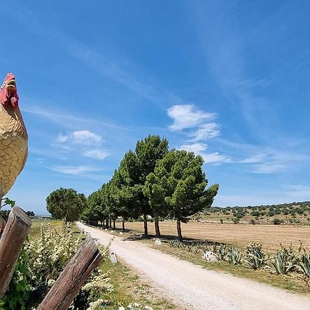 Masseria Milu' Siponto Dış mekan fotoğraf