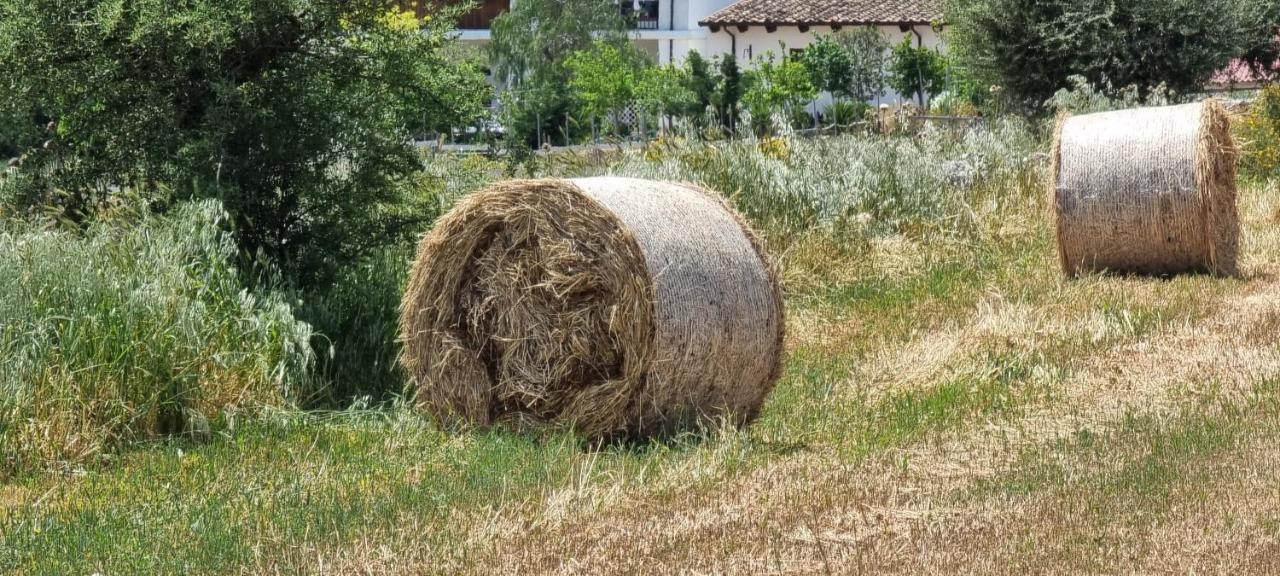 Masseria Milu' Siponto Dış mekan fotoğraf