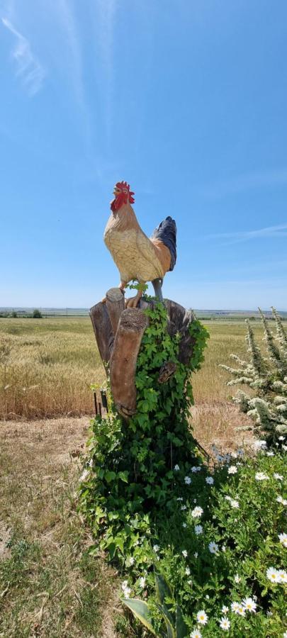 Masseria Milu' Siponto Dış mekan fotoğraf